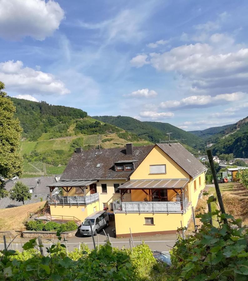 Die Ferienwohnung Lindenhof Zell an der Mosel Zewnętrze zdjęcie